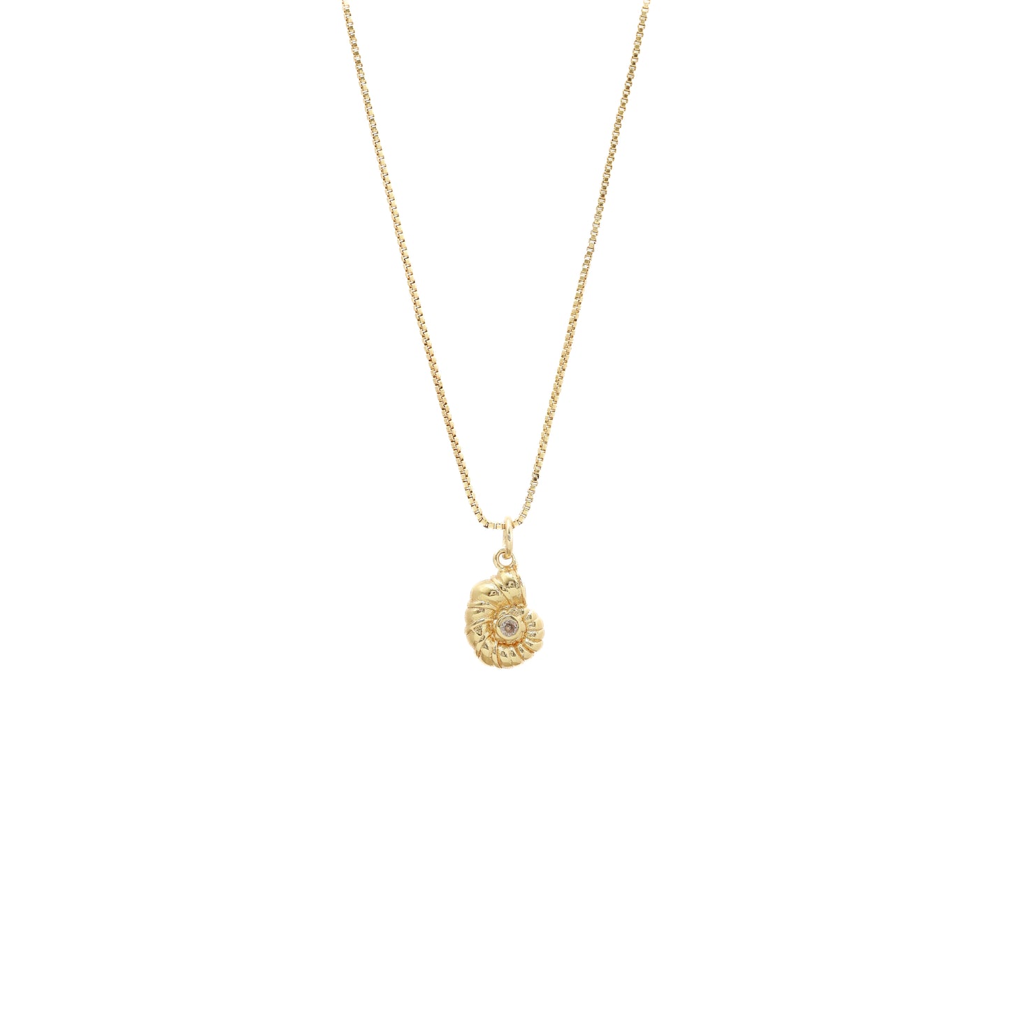 Fine necklace snail