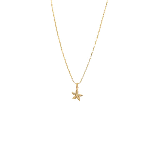 Fine necklace starfish