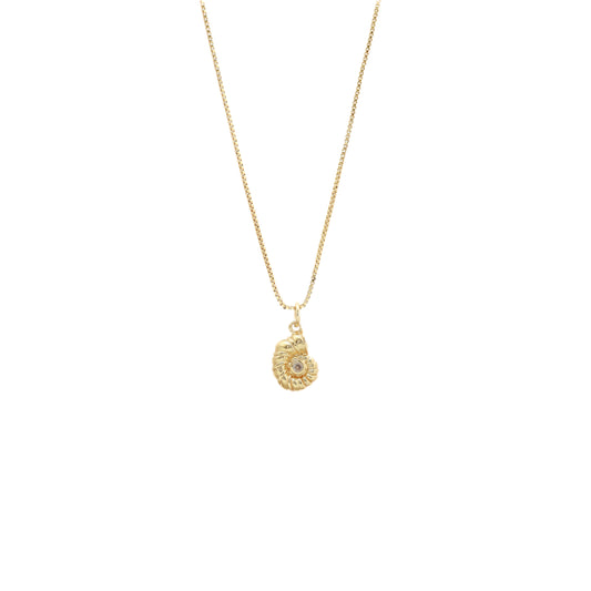 Fine necklace snail