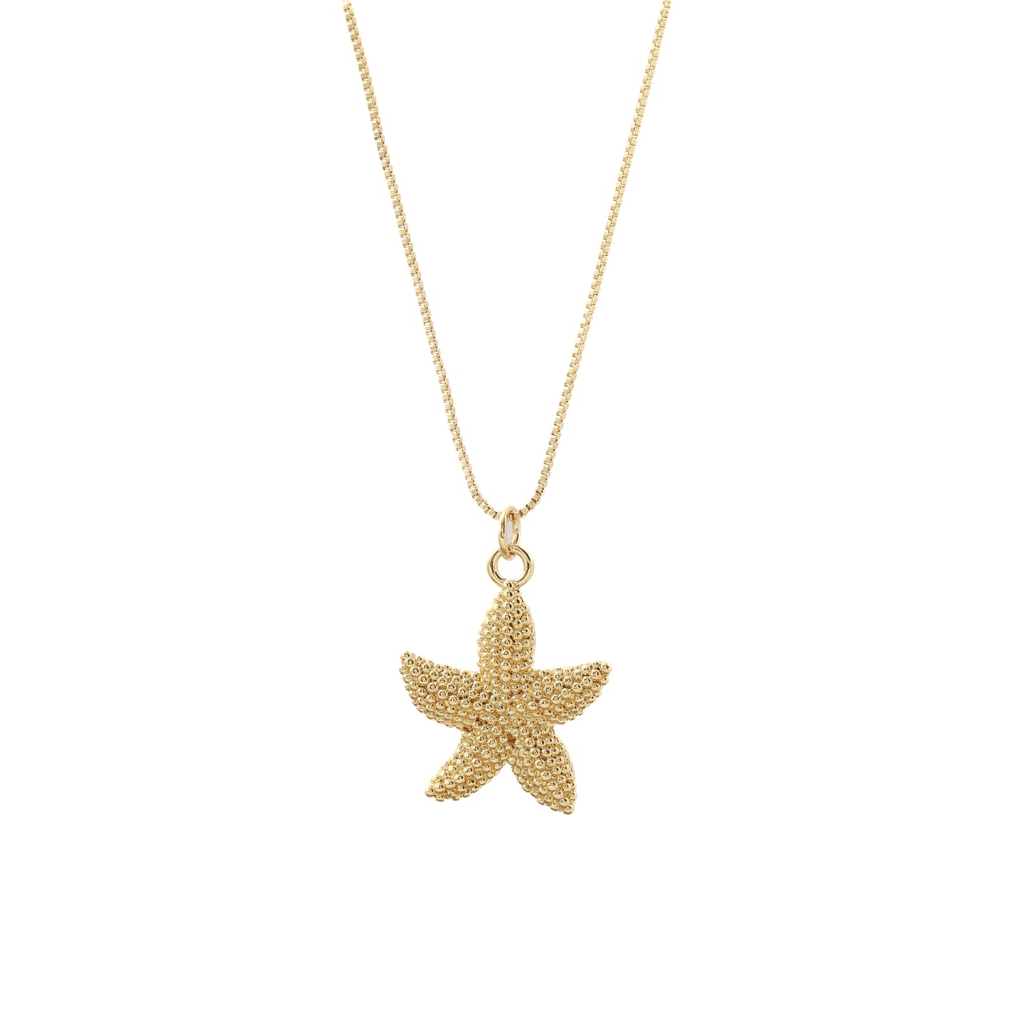 Fine necklace starfish