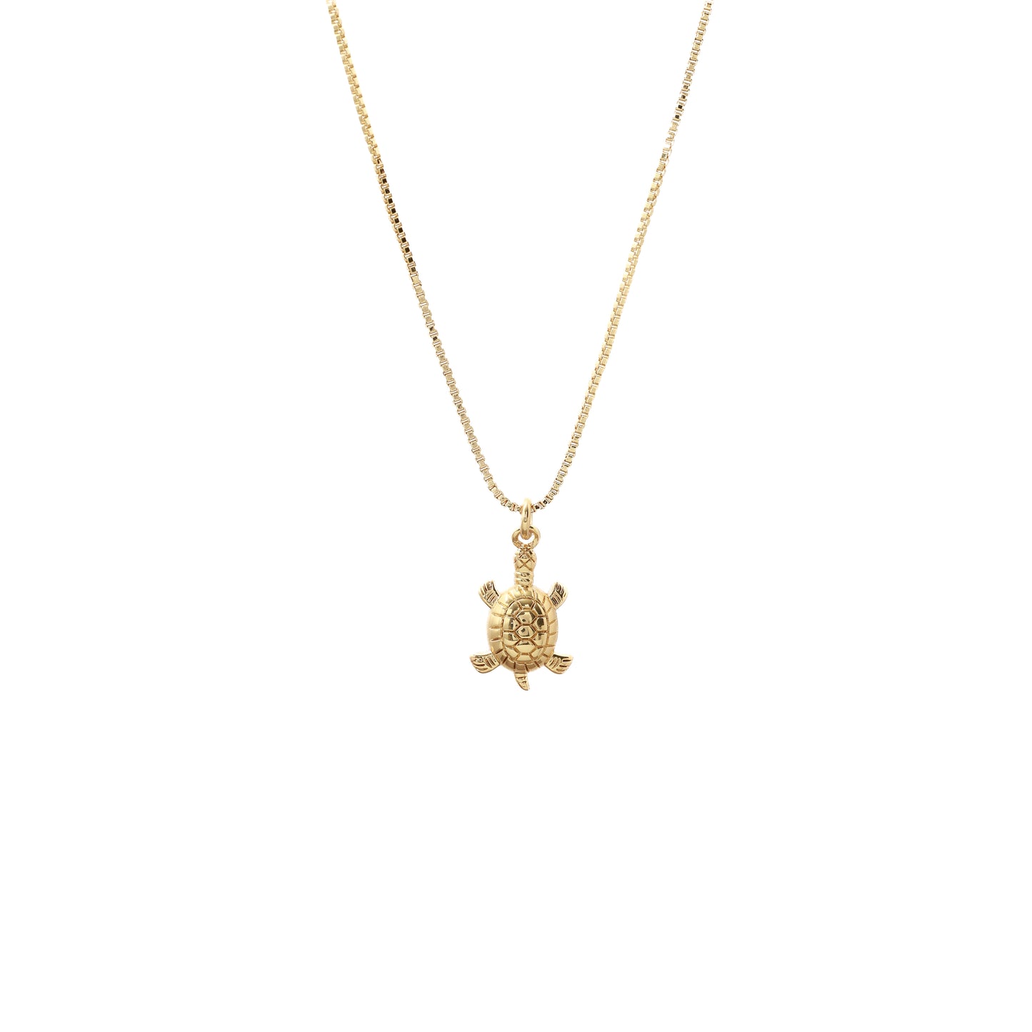 Fine necklace tortoise